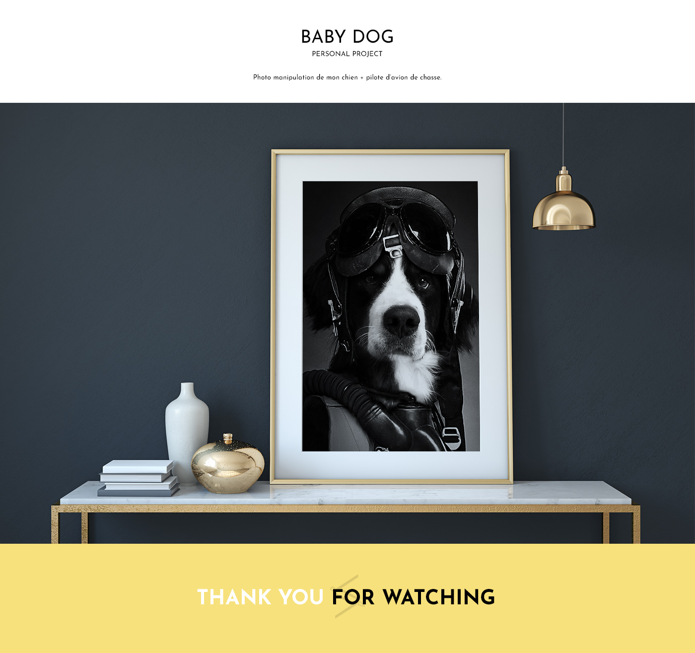 Détail créa photomontage chien pilote de chasse