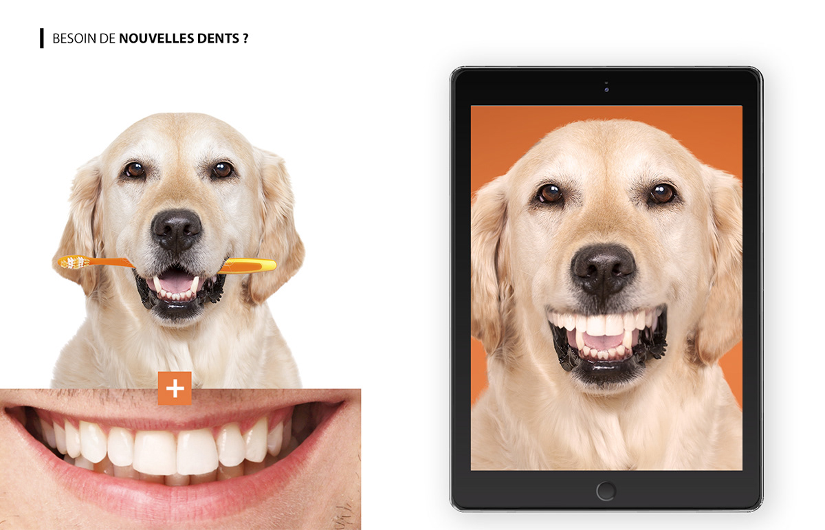 Suite détail campagne soldes hiver